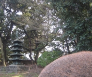 Ueno park