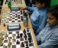 Šahovska ekipa